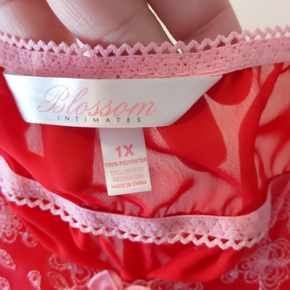 Sheer Embroidered Babydoll - 1X - Picture 3 of 4